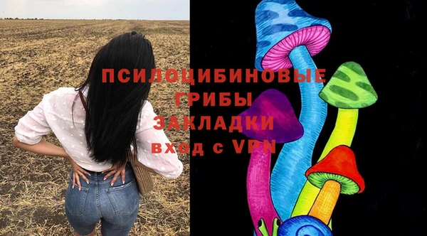 ГАЛЛЮЦИНОГЕННЫЕ ГРИБЫ Абдулино