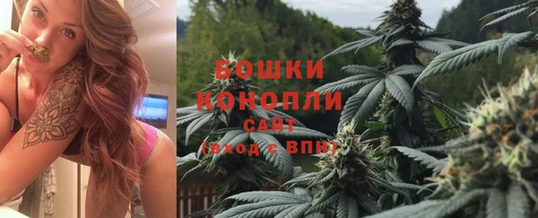 трава Осинники