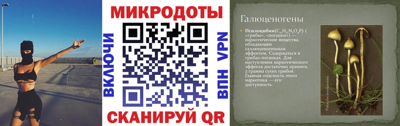 Псилоцибиновые грибы мицелий  Ядрин 